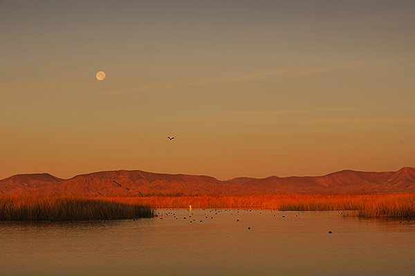 Mittry Lake moonrise