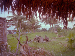 Nayarit Mexico 1978