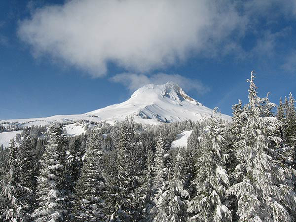 Mt Hood OR