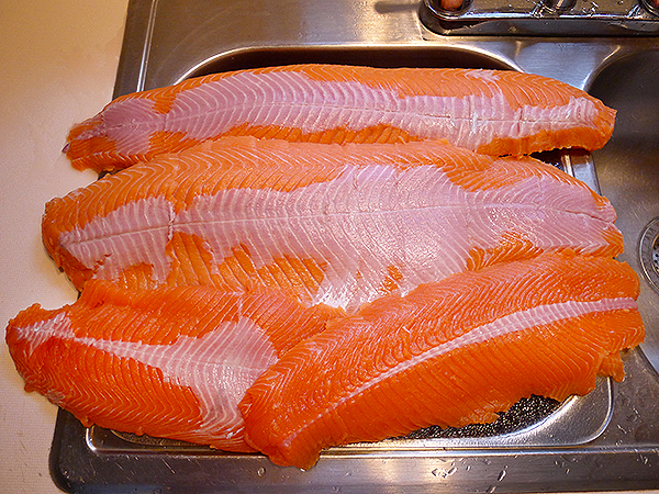 Salmon Filets