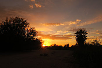 Fortuna Pond Sunset