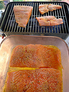 Grilled Salmon
