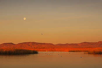 Mittry Lake