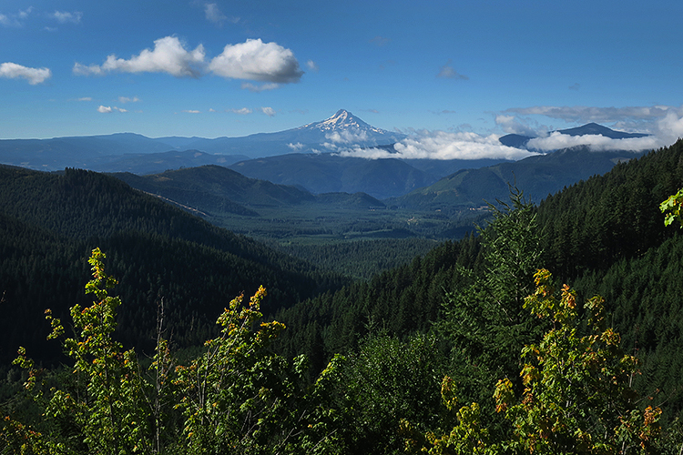 Cascade Mtns WA