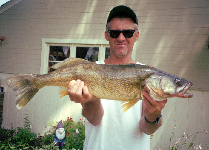 Lake Erie OH Walleye