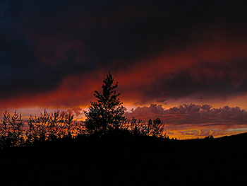 Pac NW Sunset Aug 2010