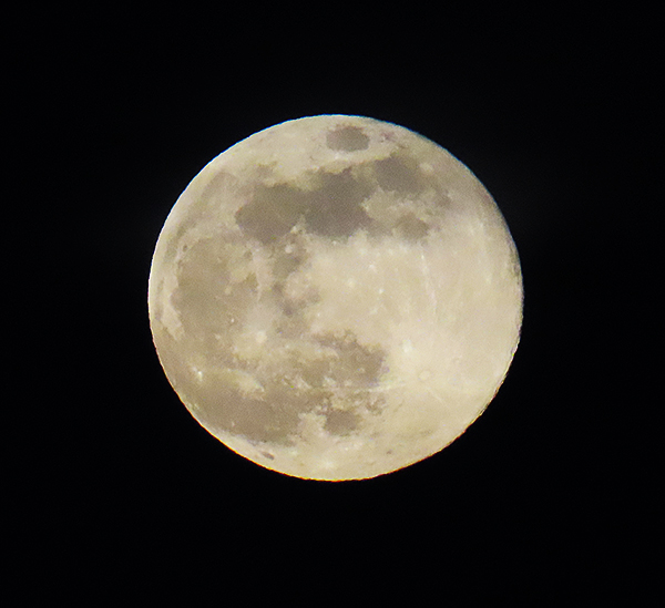 Full Moon 1-6-23