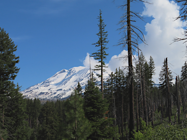 Mt Adams