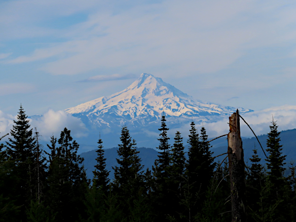 Mt Hood