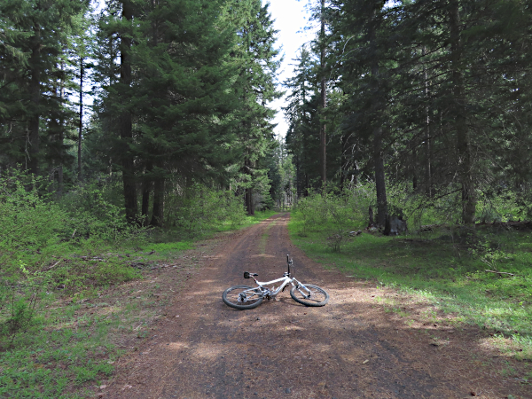 Cascade Mtn road