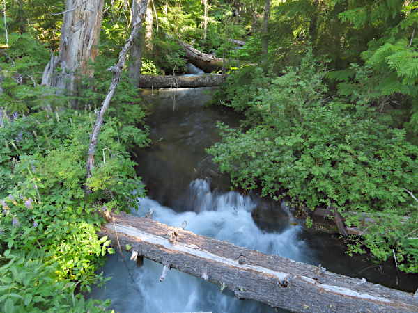 Cascade Mountain stream