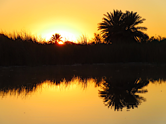 Colorado River sunrise