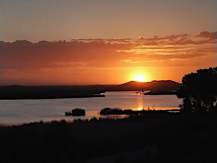 Colorado River sunrise