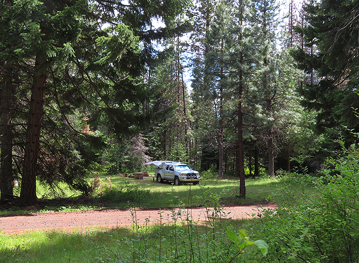 Cascade Mountains 6-27-25