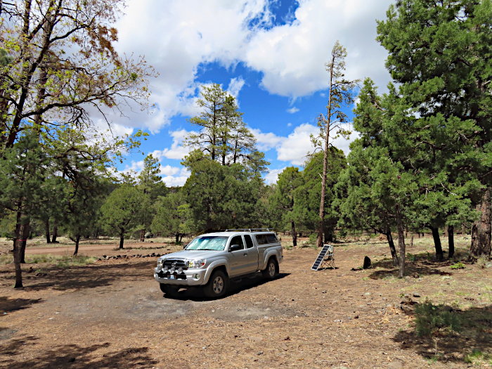 Prescott National Forest