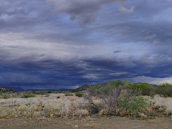 Stormy Sedona AZ